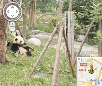Now you can see images from zoos around the world on Google's Street View.