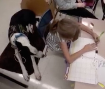 Bella gets around with help from her Great Dane service dog, George.