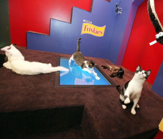 Friskies playhouse