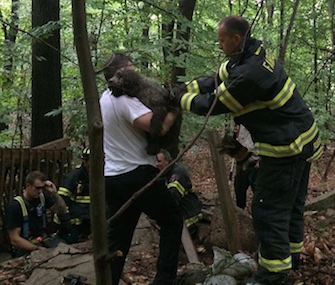 Firefighters in Fairfield, Connecticut, saved a dog trapped under concrete slabs.
