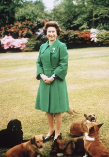 Queen Elizabeth and her Dogs