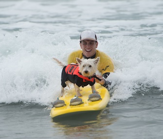 Fifty dogs took the waves in southern California Sunday for a Surf Dog Competition.