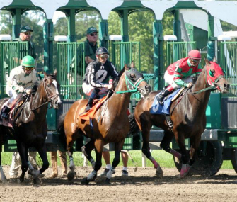 Horses racing