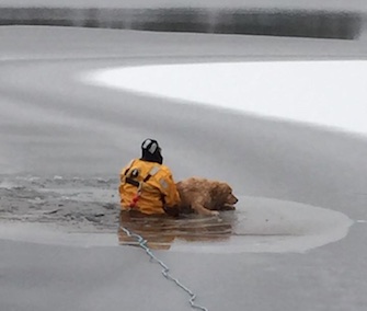 A firefighter nicknamed Dr. Doolittle rescued a dog who'd fallen into an icy lake in Maine Wednesday.