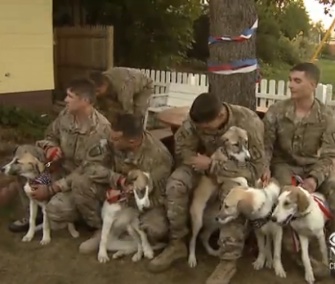 A group of National Guardsmen were reunited with an Afghan dog and her seven puppies on Wednesday.